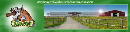 logo stje